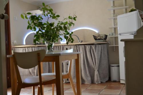 VobarnoにあるCasa vacanzeのキッチン(鉢植えのテーブル付)