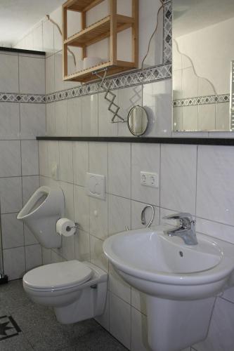 a bathroom with a sink and a toilet and a mirror at Familienfreundliche Ferienwohnung für 4 Personen in Lutzerath