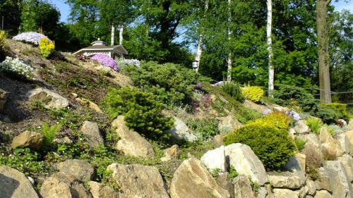 a garden with rocks and flowers on a hill at Pałacyk Szklarska in Piechowice