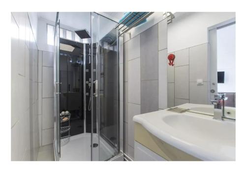 Appartement T2 Colombier pour 5 personnes vue mer في سانت كلوتيلد: حمام مع دش ومغسلة بيضاء