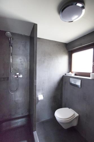 a bathroom with a toilet and a shower with a window at Landhotel Wolfschlugen in Wolfschlugen