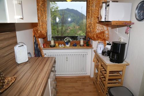 une cuisine avec un comptoir et une fenêtre avec vue dans l'établissement Ferienwohnung Ackermann Oberallgäu, à Missen-Wilhams