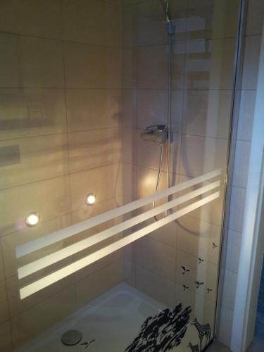 a shower with a glass door in a bathroom at Ferienhaus Kaiser in Branchewinda