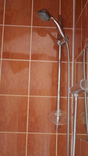 a shower in a bathroom with a shower head at The Keep in Ludlow