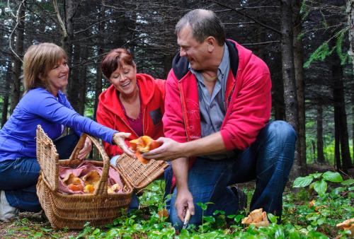 two women and a man holding baskets of fruit at Bed and Breakfast Du Repos in Saint Quentin