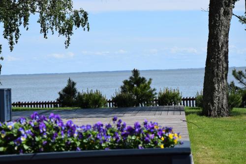 a view of the ocean from a park with purple flowers at Marių pelėdos in Preila