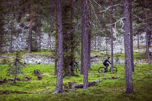 Imagen de la galería de Pyhä Igloos, en Pyhätunturi