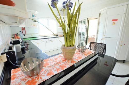 Una cocina o cocineta en Suites & Beds DP Albufeira