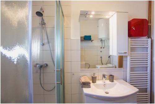 a bathroom with a sink and a shower with a mirror at House Mellifera in Razvođe