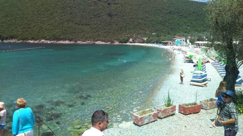 a group of people standing on a beach at Apartmani Jovanovic in Lustica