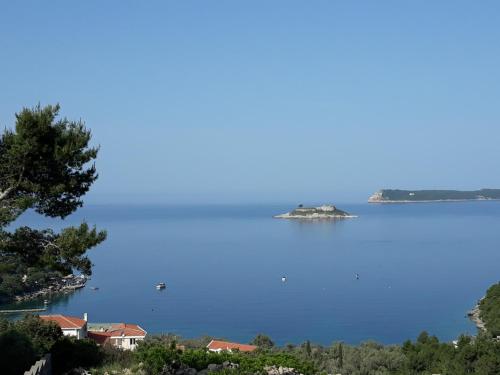 an island in the middle of a large body of water at Apartmani Jovanovic in Lustica