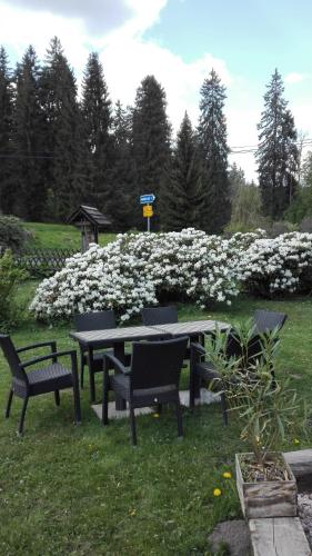 a picnic table and chairs in a field with white flowers at Apartment Chalet Kladska in Mariánské Lázně