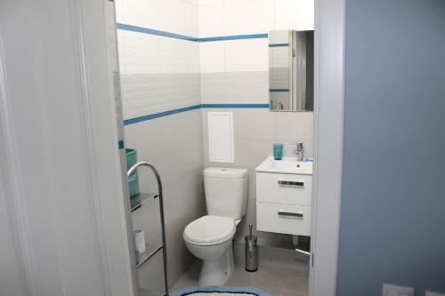 スヴェトロゴルスクにあるApartment on Maisky 8の小さなバスルーム(トイレ、シンク付)