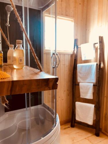 a shower with a glass door in a bathroom at Dream Tricule in Sviniţa