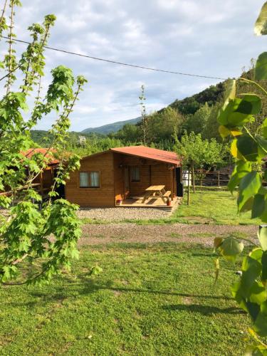 a small wooden cabin in a grassy field at Càmping Molí de Vilamala in Les Planes d'Hostoles