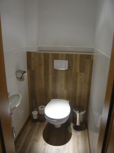 a small bathroom with a toilet and a sink at Ferienhof Grossgrub in Vorderstoder