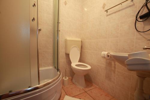 a bathroom with a toilet and a sink and a shower at Pension Antonia in Baška