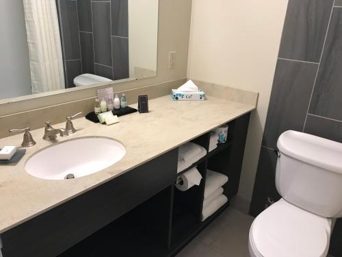 a bathroom with a sink and a toilet and a mirror at RIT Inn & Conference Center in Henrietta