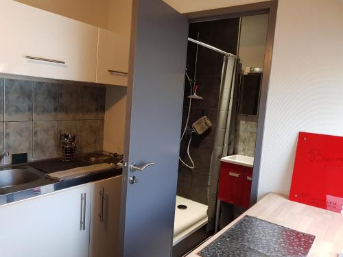 eine kleine Küche mit einem Waschbecken und einer Dusche in der Unterkunft Appartement Hyper centre - Quartier du château de Vire in Vire