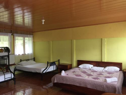 two beds in a room with green walls at Cabinas Piuri in Rio Celeste
