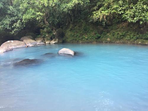 a blue pool of water with some rocks in it at Cabinas Piuri in Rio Celeste