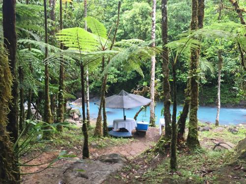 a table with an umbrella in the woods next to a river at Cabinas Piuri in Rio Celeste