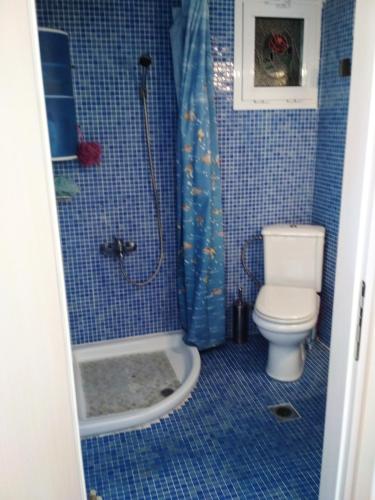 a blue tiled bathroom with a toilet and a shower at Luxury Sea View in Ofrínion