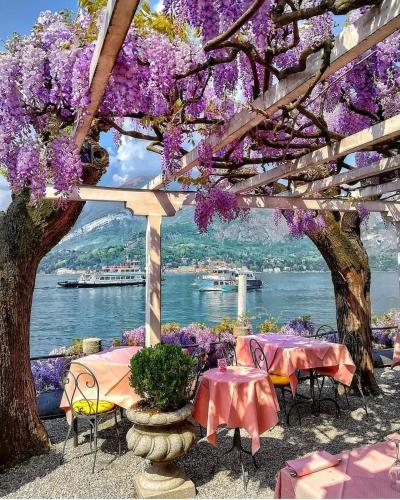 a group of tables and chairs under a tree with purple flowers at Sweet House Self Check-in 24h in Cavallasca