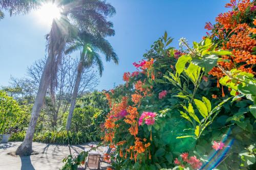 a garden with flowers and a palm tree at Hotel Colinas del Sol in Atenas