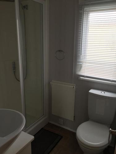 a bathroom with a toilet and a shower and a sink at Beach walk in Mablethorpe
