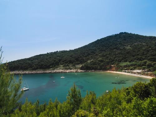 Gallery image of Villa Franka in Lopud Island
