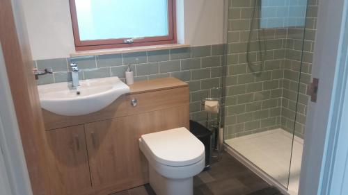 a bathroom with a sink and a toilet and a shower at Curlew Cottage in Eyre