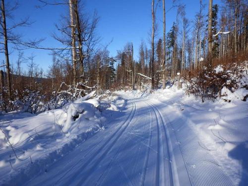 a snow covered road in a forest with trees at Apartmán Šestka in Nová Pec