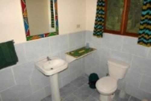 a white bathroom with a toilet and a sink at El Tucan Jungle Lodge in Puerto Viejo