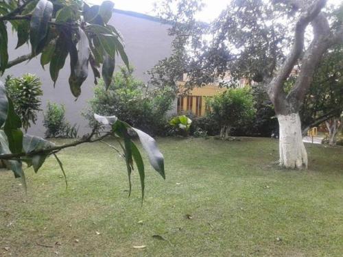 Ein Garten an der Unterkunft Casa Echavarria