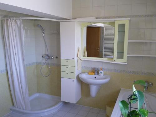 W łazience znajduje się umywalka, prysznic i umywalka. w obiekcie Vila Bbq w Lublanie
