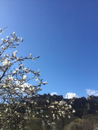 Edinburgh37 photo 53