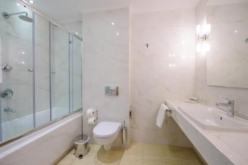 a bathroom with a toilet and a sink and a shower at Calma Hotel & Spa in Kastoria