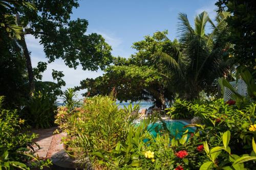 a garden filled with lots of plants and flowers at Le Repaire - Boutique Hotel & Restaurant in La Digue