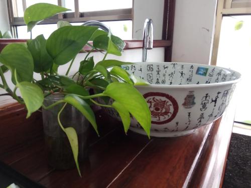 a plant in a bowl on a counter next to a sink at Xingping Our Inn in Yangshuo