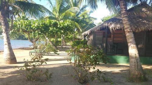 a house on the beach with palm trees at Anjiamarango Beach Resort in Nosy Be