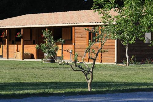 Κήπος έξω από το Le petit mas en provence avec piscine