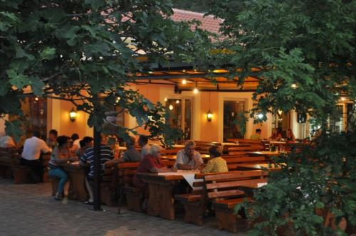 een groep mensen die aan tafel zitten in een restaurant bij Guesthouse Bakarac in Bakarac