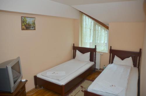 um pequeno quarto com duas camas e uma televisão em Pensiunea La Palaguta em Baia Mare