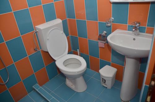 a bathroom with a toilet and a sink at Pensiunea La Palaguta in Baia Mare