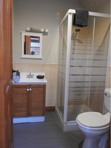 a bathroom with a shower and a toilet and a sink at Pillory House Loft Apartment in Nantwich