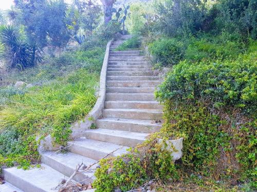 a set of stairs on a hill with plants at El Collado in Cullera