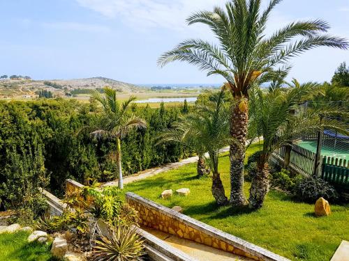 a group of palm trees and sheep in a field at El Collado in Cullera