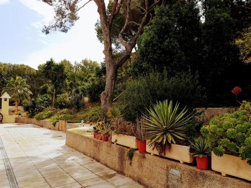 a garden with plants in pots on a sidewalk at El Collado in Cullera