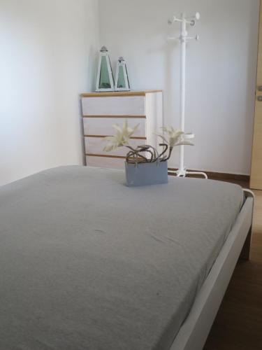 - une chambre avec un lit et une plante dans l'établissement Guesthouse with Garden, à Komotiní